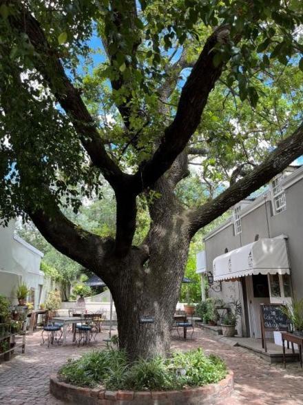 Hotel Cafe Felix & Old Oak Manor Riebeek-Kasteel Exteriér fotografie