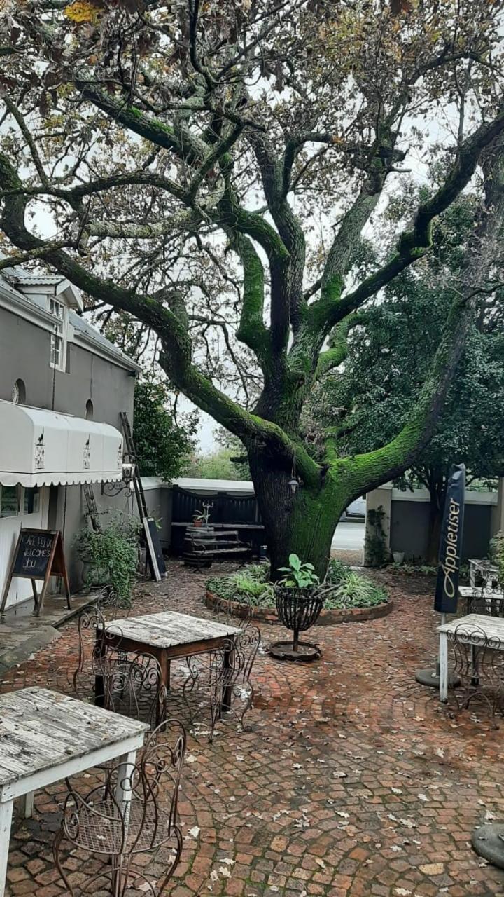 Hotel Cafe Felix & Old Oak Manor Riebeek-Kasteel Exteriér fotografie